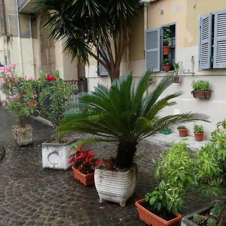 홈스테이 Trastevere, What Else...